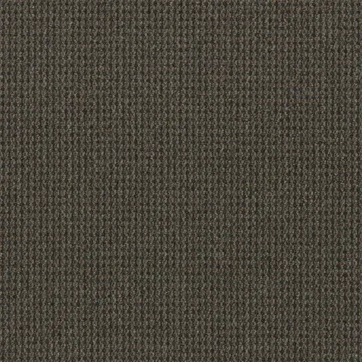 Backroads Adventure office carpet in London Ontario, durable commercial broadloom with a natural textured look.