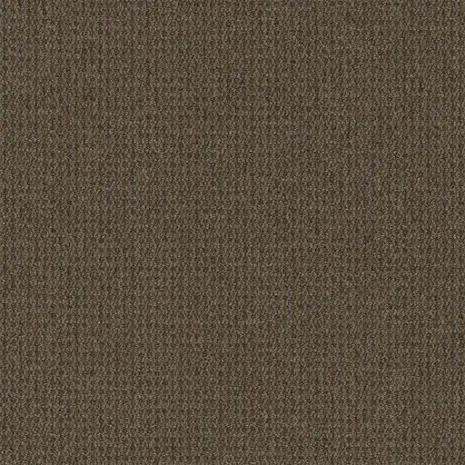 Road Less Traveled Backroads office carpet in London Ontario, commercial broadloom with a contemporary style.