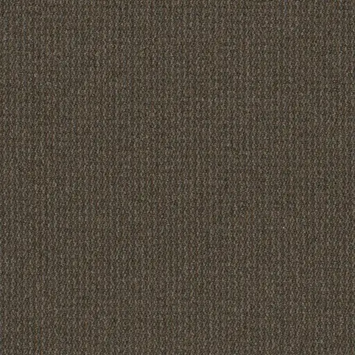 Scenic Trip Backroads office carpet in London Ontario, commercial broadloom with a soft balanced texture.