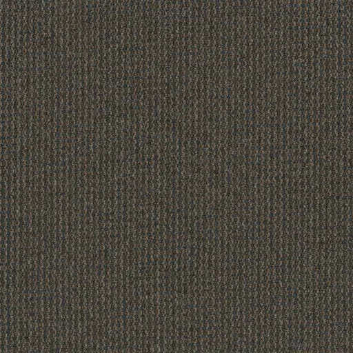 Sunday Drive Backroads office carpet in London Ontario, commercial broadloom with a relaxed neutral finish.