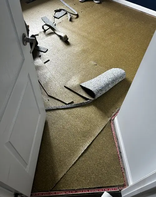 Bedroom with new carpet underpad in Wortley Village, London, Ontario before patterned carpet installation