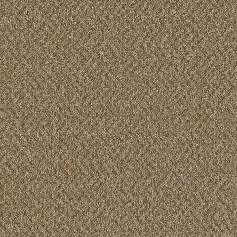 Broadcast Plus carpet Aged Leather – rich brown residential carpet flooring in London Ontario