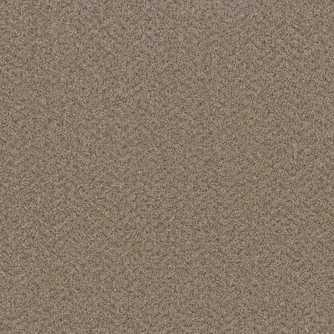 Almond Broadcast Plus carpet – soft beige textured flooring in London Ontario