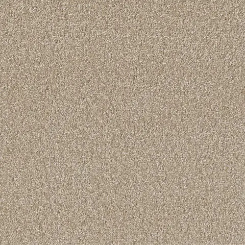Cameo colour Broadcast Plus carpet – elegant light-tone flooring in London Ontario