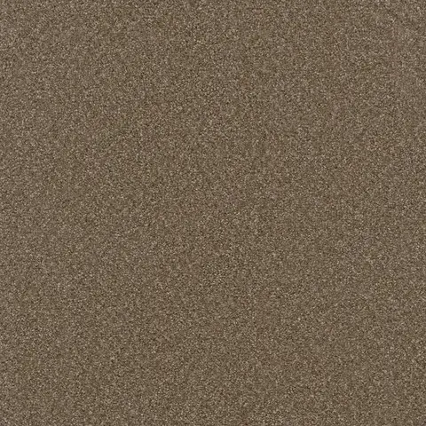 Chestnut colour Broadcast Plus carpet – warm rich flooring choice in London Ontario