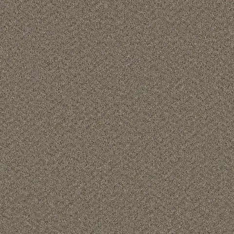 Cinder Broadcast Plus carpet – deep neutral residential flooring in London Ontario