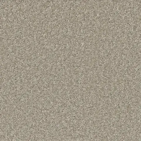 Clam Shell Broadcast Plus carpet – light modern flooring for homes in London Ontario