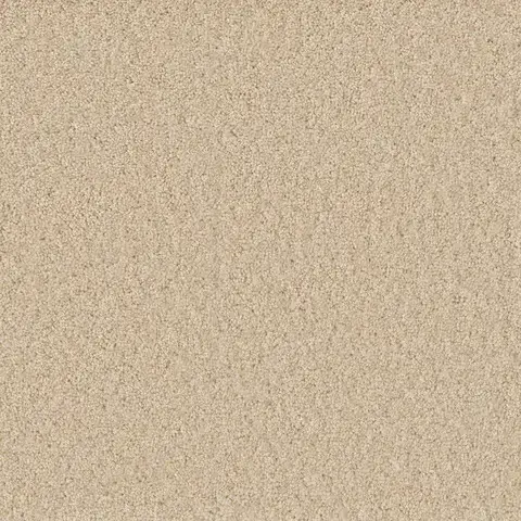 Classic Ivory Broadcast Plus carpet – timeless neutral carpet flooring in London Ontario