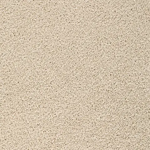 Cookie Dough Broadcast Plus carpet – warm beige cut-pile carpet for homes in London Ontario