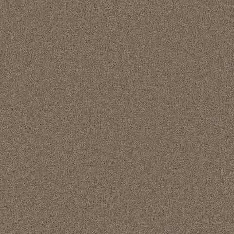 Doeskin Broadcast Plus carpet – subtle taupe flooring solution in London Ontario