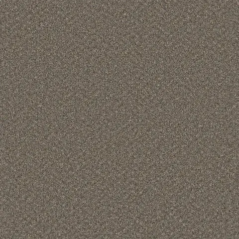 Field Slate Broadcast Plus carpet – contemporary neutral flooring by Engineered Floors in London Ontario