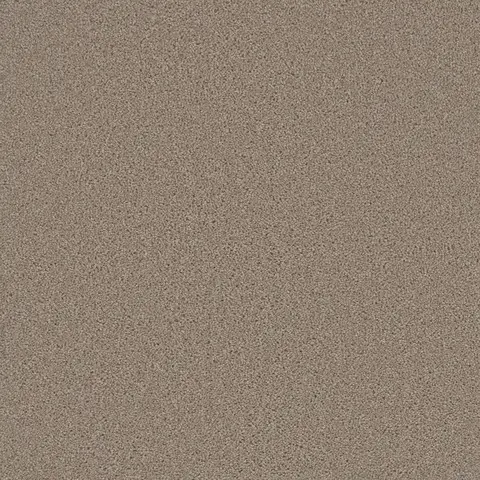 Flax Beige Broadcast Plus carpet – soft neutral residential flooring in London Ontario