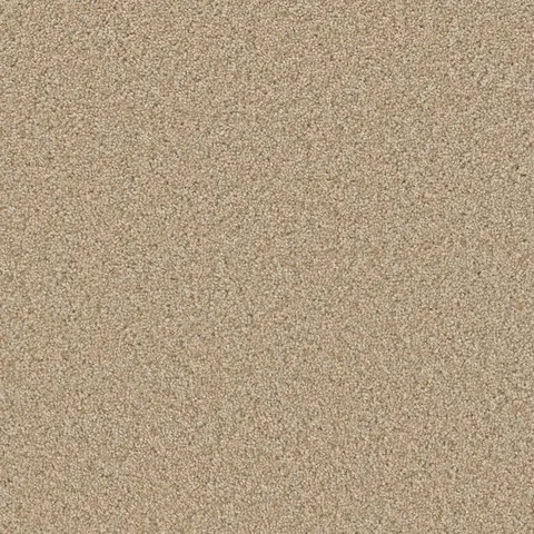 Frosted Clay shade of Broadcast Plus carpet – earthy tone flooring in London Ontario