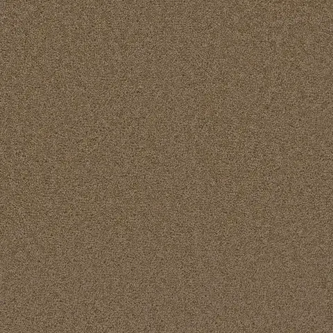 Honey Beige Broadcast Plus carpet – inviting warm flooring for homes in London Ontario