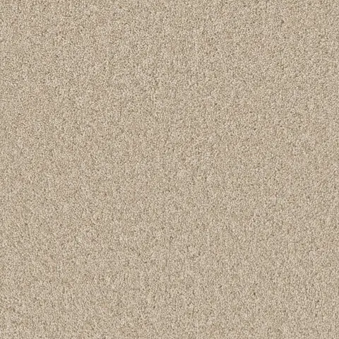 Broadcast Plus carpet in Light Bisque – bright neutral residential flooring option in London Ontario