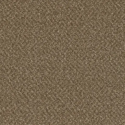 Mocha Beige Broadcast Plus carpet – cozy neutral flooring solution in London Ontario