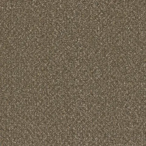 Rustic Glam Broadcast Plus carpet – designer-inspired textured flooring in London Ontario