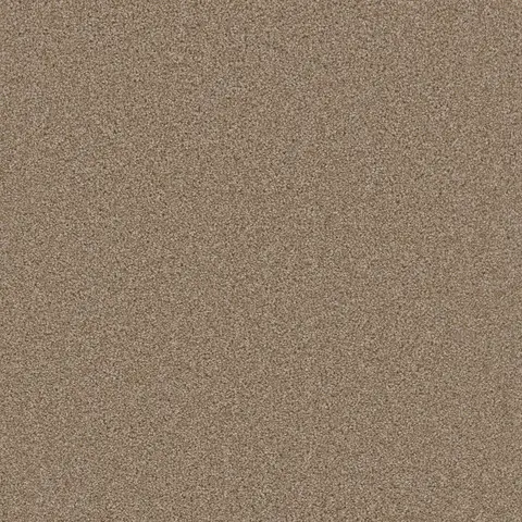 Sawgrass Broadcast Plus carpet – natural earth-tone carpet option in London Ontario