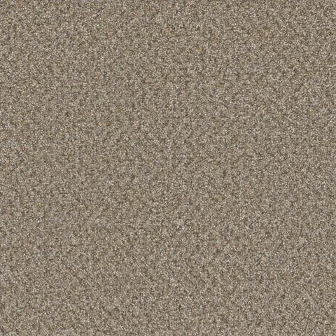 Siesta Broadcast Plus carpet – soft textured flooring for bedrooms and living rooms in London Ontario