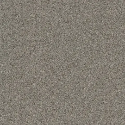 Silver Birch Broadcast Plus carpet – bright cool-toned flooring in London Ontario