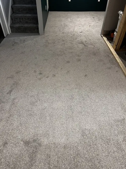 Plush carpet installed in basement in Lambeth, London, Ontario after professional installation