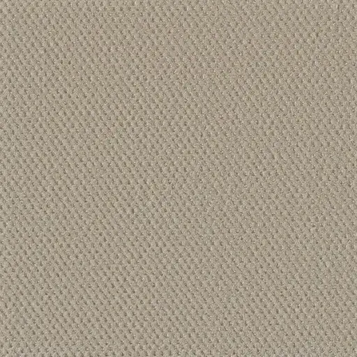 Prime carpet Champagne Fizz colour sample – premium solution dyed carpet flooring in London Ontario