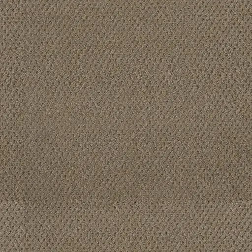 Deer Path Prime carpet – warm neutral carpet flooring option by Engineered Floors in London Ontario