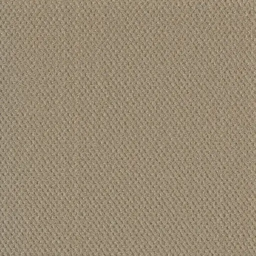 Soft Pine Prime carpet – soft green tone carpet flooring by Engineered Floors in London Ontario