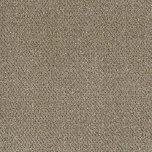 Warm Sand Prime carpet – warm neutral flooring option by Engineered Floors in London Ontario