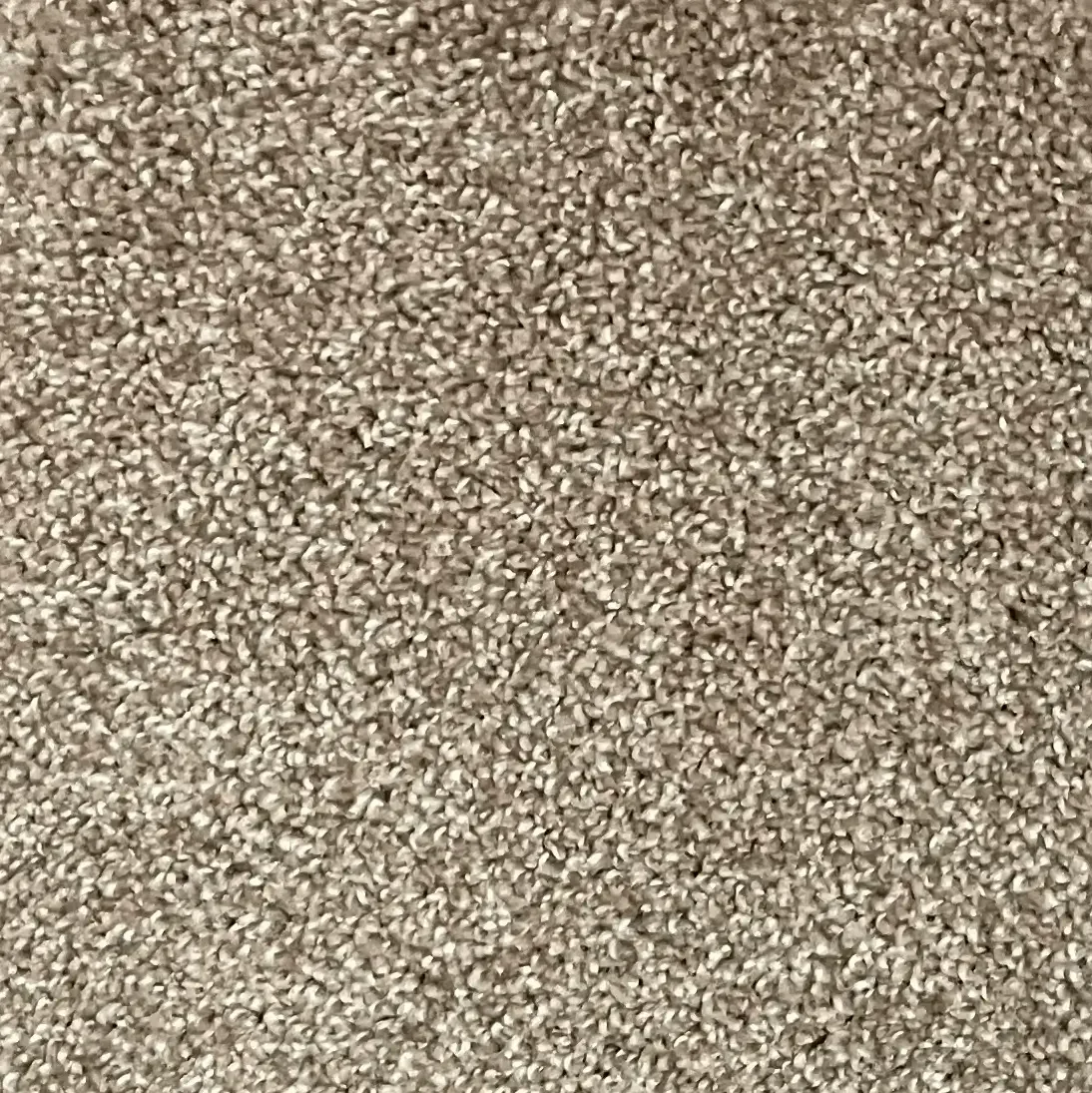 Serenity carpet sample in warm sand color with cozy plush texture for homes in London Ontario