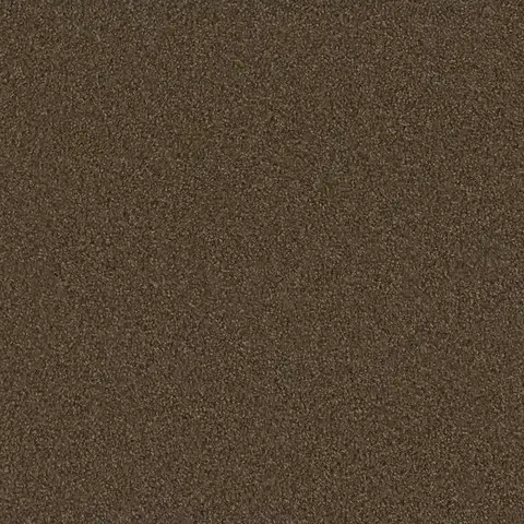 SP250 Boulder carpet earthy taupe carpet for durable home flooring in London ON
