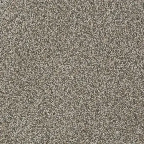 SP250 Carbon Crystal carpet textured dark grey carpet for London ON interiors