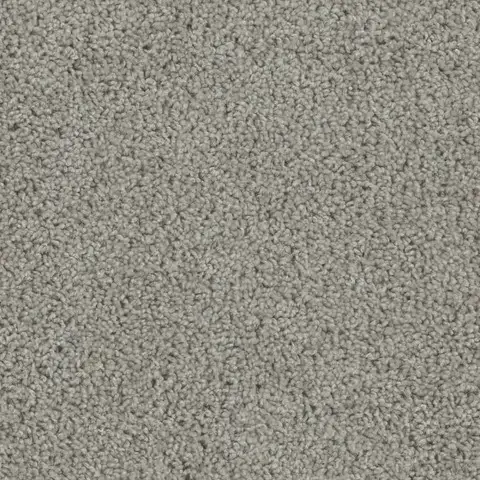 SP250 Chrome carpet sleek light grey carpet for modern London Ontario interiors