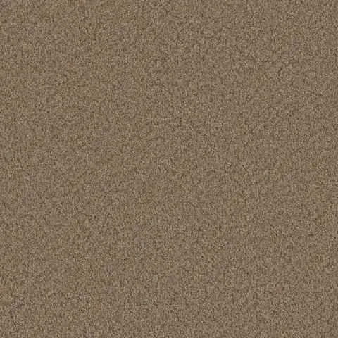 SP250 Claystone carpet muted brown carpet with textured look for London ON