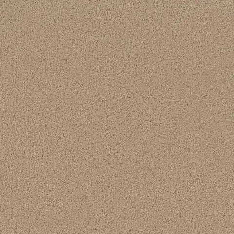 SP250 Cookie Dough carpet creamy neutral carpet ideal for family rooms London ON