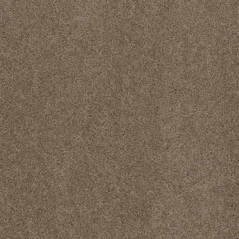 SP250 Doeskin carpet warm taupe textured carpet for family rooms London ON