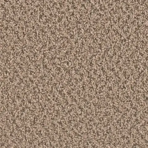 SP250 Fossil carpet soft stone-grey carpet perfect for London ON homes