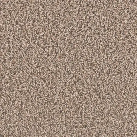 SP250 Gingerbread carpet warm brown carpet with cozy feel for London ON