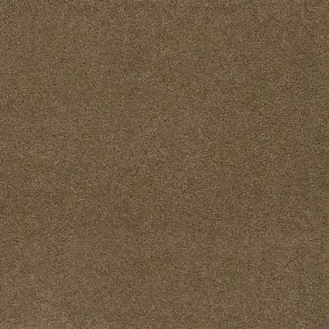 SP250 Honey Beige carpet neutral soft carpet for living areas in London ON