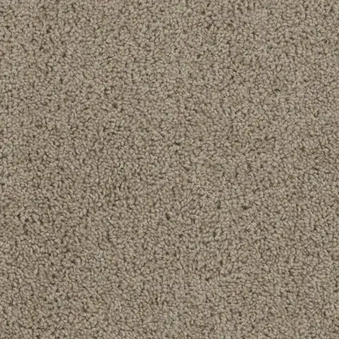 SP250 Sandstone carpet soft beige carpet for versatile home flooring London ON