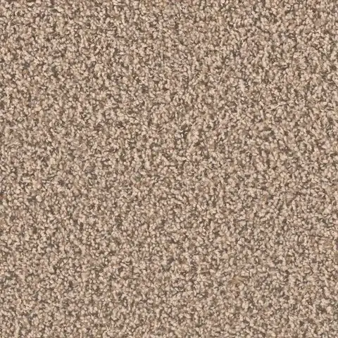 SP250 Shoreline carpet subtle sandy tones for bright residential rooms London ON