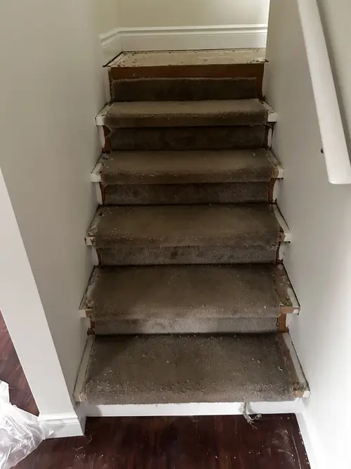 Stairs with old damaged carpet in Old East Village, London, Ontario before beige Berber carpet installation