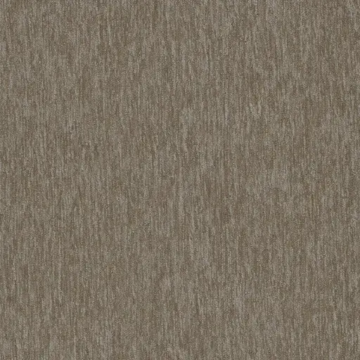 Streaming broadloom carpet sample in color code 2937 – rich taupe tone perfect for versatile flooring designs