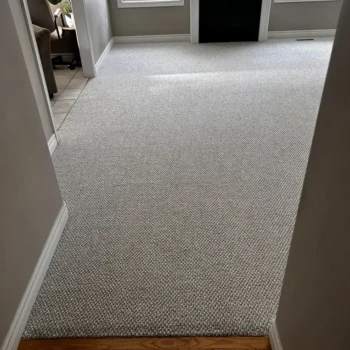 Interstellar Bleached Wheat carpet professionally installed in a London Ontario living room by Master Carpet