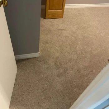 Serenity Light Sand carpet installed in a London, Ontario bedroom — a soft, medium-pile plush style.
