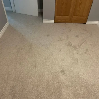 Bedroom carpet installation in London, Ontario featuring Serenity Light Sand