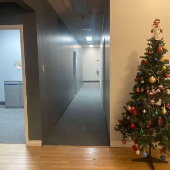 Streaming Aspect commercial carpet in rehab center hallway with entrance and Christmas tree, London Ontario.