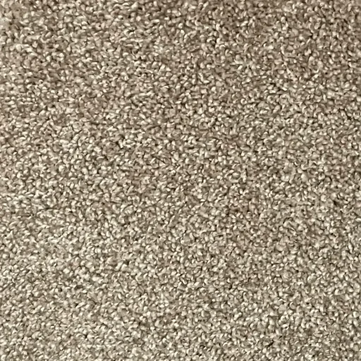 Serenity carpet sample in warm sand color with cozy plush texture for homes in London Ontario